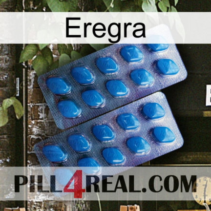 Eregra viagra2